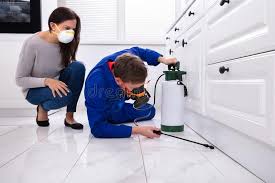 Best Pest Exclusion Services  in Loretto, PA